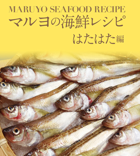 MARUYO SEAFOOD RECIPE マルヨの海鮮レシピ はたはた編