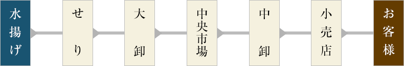 水揚げ > せり > 大卸 > 中央市場 > 中卸 > 小売店 > お客様