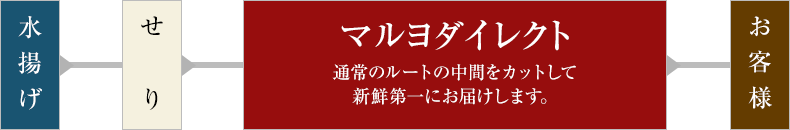 水揚げ > せり > マルヨダイレクト（通常のルートの中間をカットして新鮮第一にお届けします。） > お客様