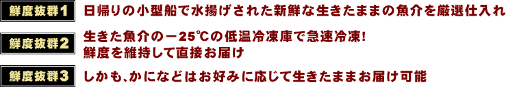 日帰りの小型船で水揚げされた新鮮な生きたままの魚介を厳選仕入れ 生きた魚介の－25℃の低温冷凍庫で急速冷凍!鮮度を維持して直接お届け しかも、かになどはお好みに応じて生きたままお届け可能